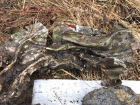 Рухнувший самолет с останками пилота и вооружением обнаружили в Ростовской области