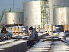 Донские власти заявили о достаточном запасе топлива на нефтебазах