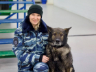 В Ростове-на-Дону служебный пес Вегас завершил карьеру и вышел на пенсию 