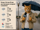 В Ростове продолжатся дожди и похолодание 30 мая