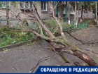 Сильный шторм сломал дерево и выполнил работу ростовских коммунальщиков