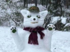 Снежный дом для нежного котика создали ростовские мастера
