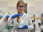 Ученые ЮНЦ РАН изобрели эффективный против коронавируса дезинфектор 