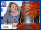 Что ждать от осени и зимы 2026–27 в Ростовской области: рассказала начальник гидрометцентра