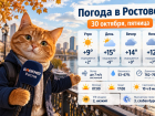 В Ростове 30 октября потеплеет до +15 градусов