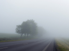 В ГИБДД предупредили водителей о сильном тумане в Ростовской области 