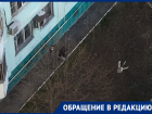 «Коронавирус наркоманам не помеха»: ростовчанка сняла на видео двух мужчин, роющихся в земле в поисках закладки