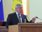 Губернатор Голубев выступил против возвращения прямых выборов мэров