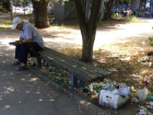 Заваленный «от безысходности» мусором сквер шокировал молодую жительницу Ростова