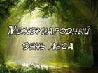 Календарь: Международный день лесов 