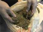 Два пакета марихуаны пытался сбыть украинец в Ростовской области