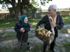 От отравления грибами пострадали 24 жителя Ростовской области