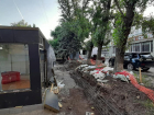 Администрация Ростова отрицает вырубку деревьев в Александровке