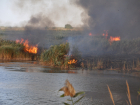 В марте в Ростовской области произошло 879 ландшафтных пожаров