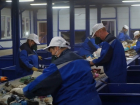 Регоператор ГК «Чистый город» показал дончанам процесс утилизации отходов