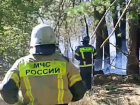 Площадь лесного пожара в Ростовской области достигла 324 гектаров