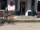 Ростовчанин прогулялся по городу с картонной собакой на поводке