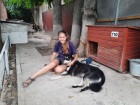 Бездомный пес из Ростова нашел любящую семью в Германии