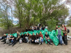Кумженскую рощу очистили от мусора во время осеннего субботника