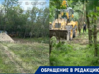 «Прощай, зеленая роща»: жители донского хутора сообщают о вырубке живых деревьев