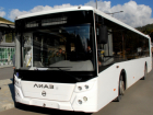 Удмуртское ПАТП «отвоевало» у ростовских перевозчиков 11 популярных автобусных маршрутов