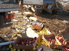Более 8 тысяч импортных фруктов уничтожили на Дону 