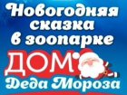 Ростовский зоопарк приглашает на день рождения слонихи Ситары, а также на новогодние, фееричные шоу 