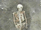 Обнаруженный на улице Станиславского скелет «человека-русалки» рассмешил ученых Ростова