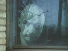 Пристальный взгляд Ленина из окна дома испугал жителя Ростова