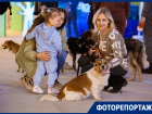 Шесть собак из ростовского приюта нашли любящих хозяев во время фестиваля «Дай лапу!»