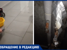 «Удерживают силой»: в Ростове управляющая компания игнорировала потоп в многоквартирном доме