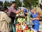  В Ростове открылись четыре сельскохозяйственные ярмарки 