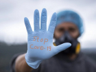 Ростовские ученые рассказали, когда эпидемия коронавируса пойдет на спад