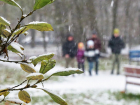 Мокрый снег ожидается в Ростове уже на этой неделе