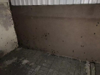 В центре Ростова жилой дом атаковали полчища тараканов