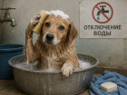 В центре Ростова на две недели отключат горячую воду сотням жителей