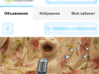 На  сайте бесплатных объявлений Ростова появился лот в виде поющего кота