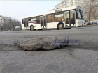 Развалившаяся на куски дорога возмутила жителей Ростова