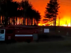 Площадь лесного пожара в Ростовской области увеличилась до 40 га