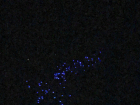 Десятки светящихся НЛО стройным рядом пронеслись над ночным небом Ростова и напугали горожан