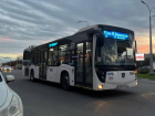 В Ростове назвали самые востребованные автобусные маршруты в 2023 году