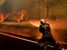 В Ростовской области случился лесной пожар на площади в три гектара