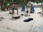 Лежбище собаченек обнаружили на детской площадке возмущенные ростовчане