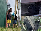 В Ростове волонтеры пытаются спасти истощенных собак на закрытом участке — хозяин утверждает, что кормит их