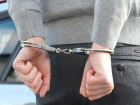 В Ростове педофила приговорили к 15 годам тюрьмы