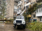 В Ростове из-за ливня и сильного ветра на выходных упали 36 деревьев 