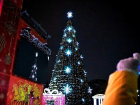 Ростовчане установят новогодние ели в пунктах временного размещения граждан