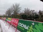 Продавцы елок в Ростове рассказали о ценах и изменениях в ассортименте