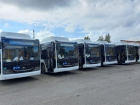 Власти Ростовской области закупят около 200 новых автобусов в 2023 году 