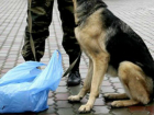 «Опасный» мешок с мусором стал причиной оцепления банка в Ростовской области